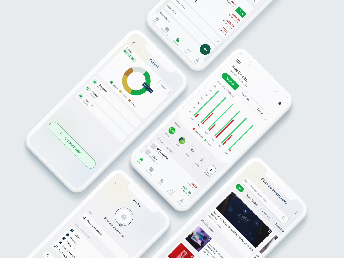 Individual reviewing personal income and expense records with FedhaTrac